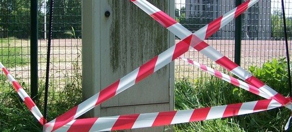 rubalise nid de guêpes frelons en Vendée